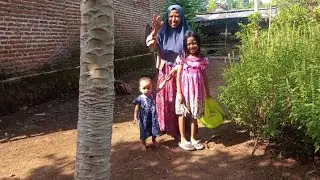 Indahnya hidup di desa cabe tinggal petik #berkebun #keluargandeso 