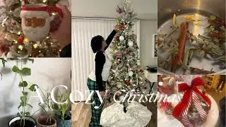 Проведите Рождество со мной 🎄 Карибский какао-чай | Посещение фермы и уход за растениями