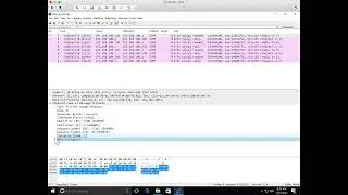 11-13   Protocols   ICMP Echo Request and Reply