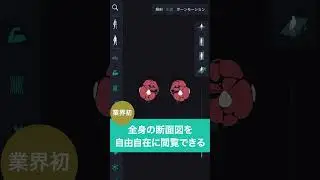 teamLab Body Pro好評配信中