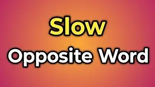 Slow Ka Opposite Word Kya Hota Hai || Antonym of Slow | Words Tube