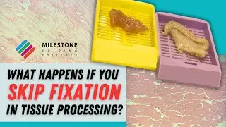 Why Fixation Matters in Histology | Real Lab Demonstration