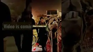 🐪🐪 camel #love #mastitime #delhi #beautiful #animallover #Nidhi Roy Vlogs and Study Physics