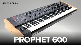 The Sequential Prophet 600 sounds amazing! (Behringer Pro 800)