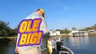 Lake Limestone Bass Fishing!!!