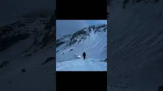 but why?                                                  #mountains #penguin #nature #antarctica