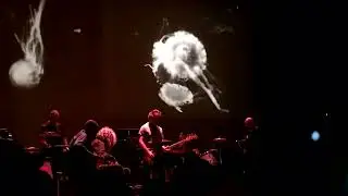 GYBE MTELUS 25-11-24 (w/BIG|BRAVE) (INCOMPLETE)