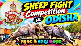 ମହୁଲପାଲି ମେଣ୍ଢା ଲଢ଼େଇ ଓ ଶ୍ରୀ ଭୋଗଡୁଙ୍ଗୁରୀ ବାବାଙ୍କ ବାର୍ଷିକ ପୂଜା ୨୦୨୬ // Mahulpali Mendha Ladhei 2026