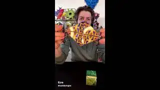 Shashibo LIVE