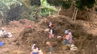 Tana et Antsirabé et Ambositra et Fiana
