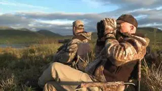 SOA Southwest Alaskan Brown Bear