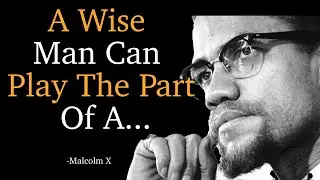 A Wise Man Can Play The Part Of A... Malcolm X Quotes on Equality and Freedom