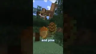 Here&rsquo;s what Minecraft biomes are missing: Taiga Forest Edition