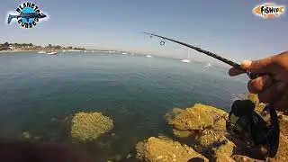 rockfishing Fishup sur Quiberon