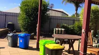 Garbage and recycle truck toy addition New update