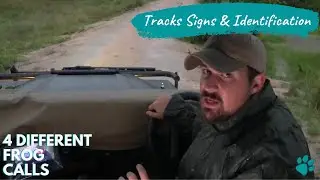 Tracks, Signs & ID - Tristan Identifying 4 different Frog calls