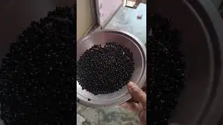 Bhatt Ki Churkani Recipe | उत्तराखंड का पारंपरिक स्वाद | Iron Rich Pahadi Food
