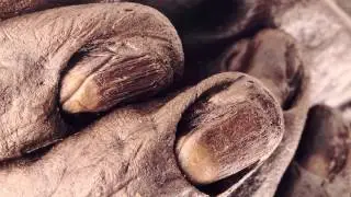 Clara Bog: Peat land history and conservation