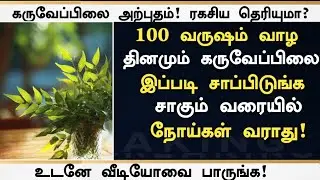 கருவேப்பிலை சாப்பிடும் பழக்கம் உங்கள் உடலை இப்படி மாற்றுமா? ரகசியம் தெரியுமா! -Curry Leaves Benefits