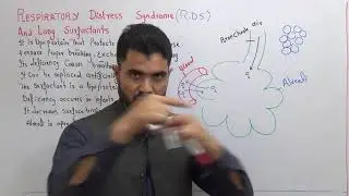 L-12 Respiratory distress syndrome and lungs surfactant Chapter Respiration