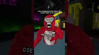 Ahhhhhhh!!! #gorillatag #gorillatagquest #funnymemes #gtag #helpmemakethismakesense #vr #gorilla