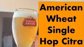 #15 Brassagem Cerbe&ccedil;a - American Wheat Single Hop DH Fermentasaurus como fazer cerveja Artesanal