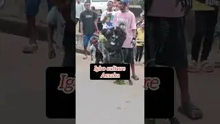 Culture, people's ways of life.