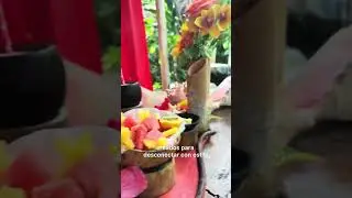🌴Chalet Tropical: Tu Lugar en el Para&iacute;so🏝️