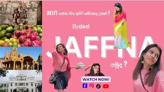  Jaffna | යාපනය Vlog 2026 @Diaryofnimna 