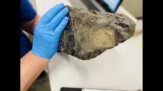 Unboxing Rocks and Minerals!