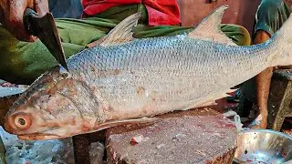 Amazing Indian Salmon Cutting Skills | Expert Indian Salmon Cleaning and Filleting