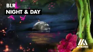 BLR - Night & Day