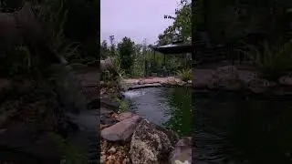Nature Break | Bask In a Moment of Serenity