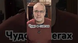 Чудо в снегах #история #точносказано #шортс #красивосказано #кино #скрытые