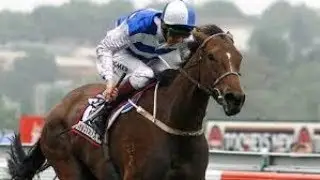 2001 VRC Melbourne Cup Post Race