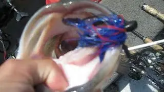 Epic Giant Bass Fishing (KeeP ReeLing)