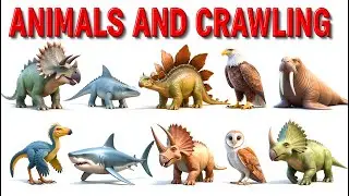 Meet the Dinosaurs | Herbivores and Carnivores 🦖 Styracosaurus, Ichthyosaurus, Stegosaurus, Eagle
