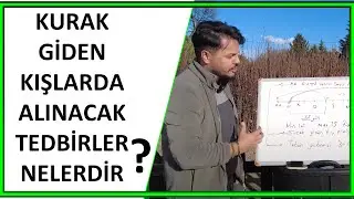 KIŞLAR KURAK GİDİYORSA FİDANLAR İÇİN NELER YAPILMALI ?