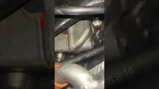 2003 cbr600rr engine knock or chain slap? Maybe just valve train noise? Not too sure