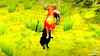 Sikadeer games hunting tiger king Lion 🦁 janwargeemawtvwalrus 2026#sikader