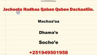 Jechoota Hudhaa Qaban Qubee Dachaatiin.