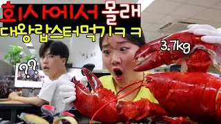 Тайно ем гигантского лобстера на работе🦀ㅋㅋㅋㅋ(при участии Пиратов Карибского моря)