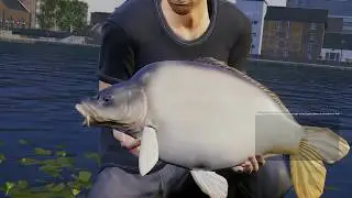Euro Fishing Foundry Dock Gameplay #17 p&ecirc;che 2017