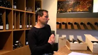 Bio-Wein als Alternative?