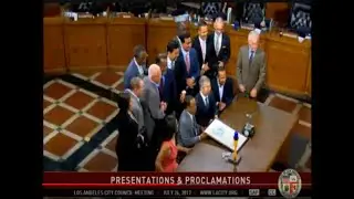 Ray Chan City Council Meeting 2017 v1
