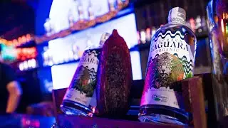 🎭✨ Soul do Brasil &ndash; Cocteler&iacute;a Sensorial | Segunda Edici&oacute;n ✨🍹