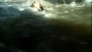 Innocent (The Flood: Who Will Save Our Children)