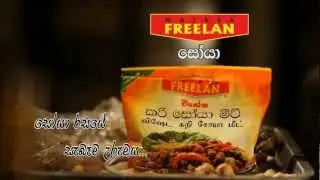 FREELAN Soya Meat