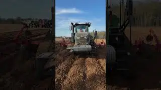 Potato Planting in the UK - Spring 2025!