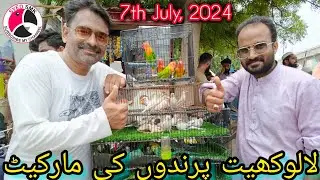 Lalukhet Birds Market Latest Update 7 July 2024 | Sunday Birds Market 7-7-24 | #Lalukhet #karachi